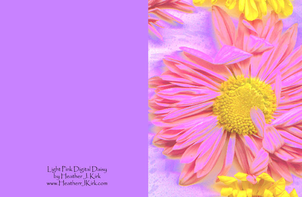 Small Note Card Light Pink Digital Daisy - Set of 5